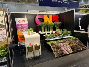 Royal FloraHolland | Trade Fair Aalsmeer