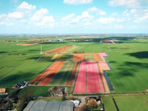 Greenport Conferentie Noord-Holland-Noord 2023