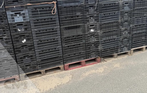 Foto van Leliekratten gebruikt