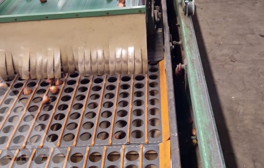 Foto van Complete verwerkingslijn