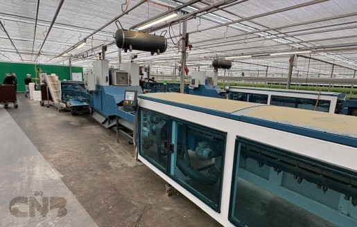 Foto van TulipStar XL-Havatec