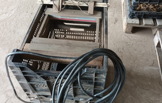 Foto van Telmachine Vaste planten