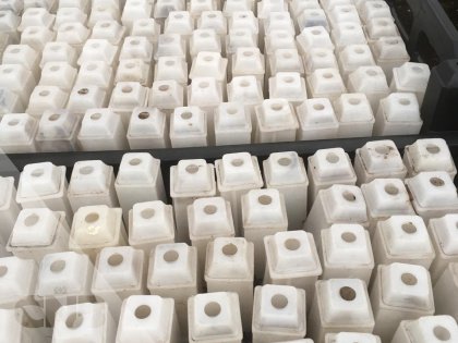 opzet pootjes 40/60 fust