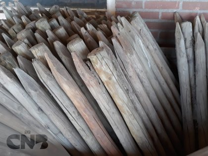 Houten palen