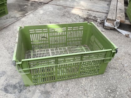 Hoge groene curvers