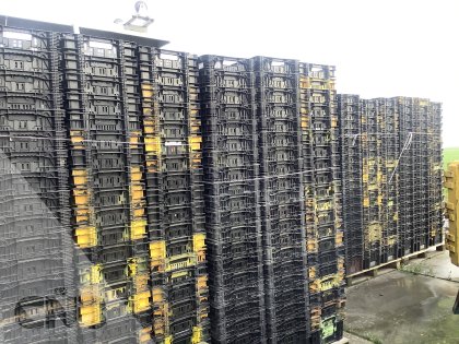 Ringoplast nestbare leliekratten