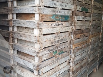 Gaasbak 75 x 50 lange poot