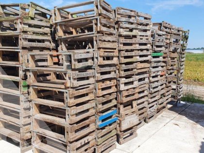 Houten Onderzetters