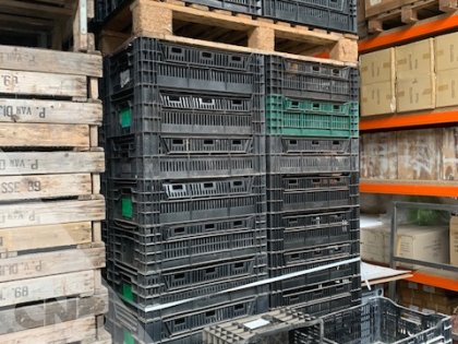 Tulpenkratten-Export kratten
