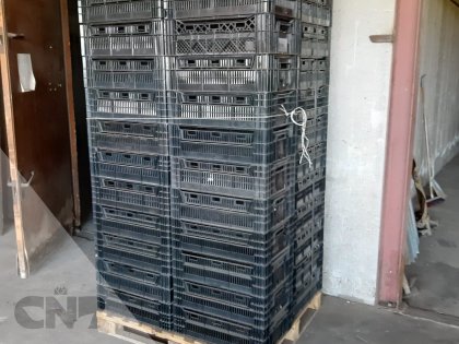 Tulpenexportkratten