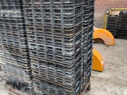 Nestbare leliekratten