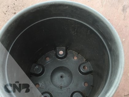 Vaste planten potten.12 liter