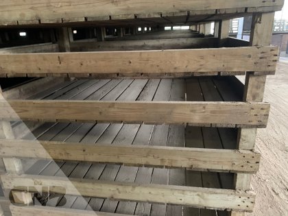 Houten broeibakken