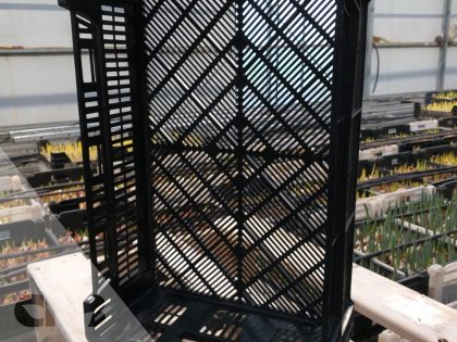 Exportkrat Zwart