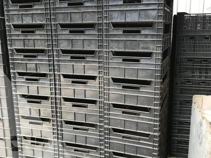 Broeibakken -CDF