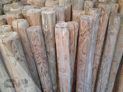Palen voor windkering