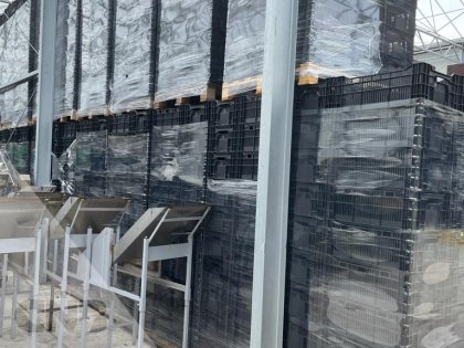 Leliekratten voor kleine getallen (Nieuw)