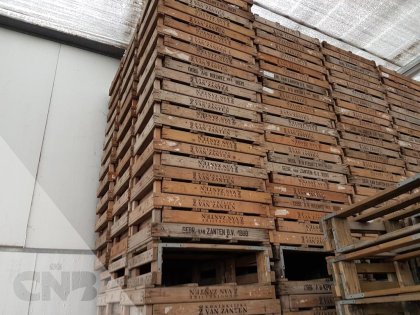 Houten gaasbakken topkwaliteit