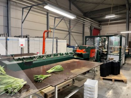 Bloemen verwerkingslijn-Potveer