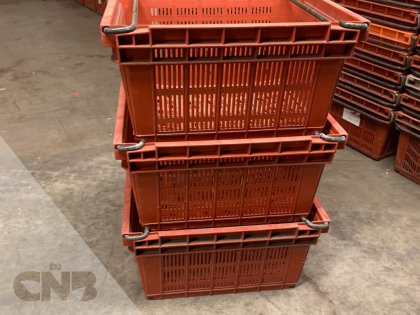 Veilingcurvers-Nestbare kratten **NIEUWE PRIJS**