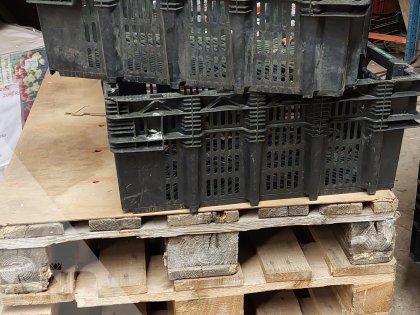 Nestbare leliekratten