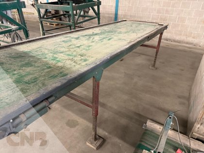 Transportband 100x350