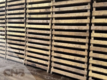 Houten broeibakken