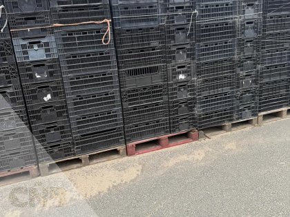 Leliekratten gebruikt