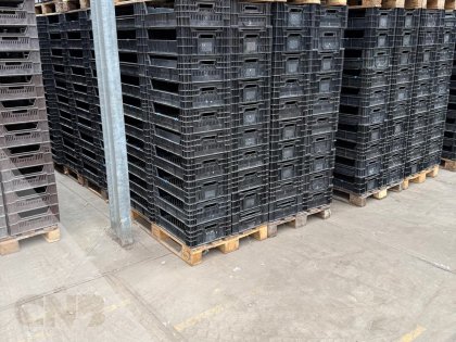 Tulpen exportkrat-Kunststof krat
