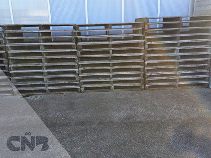 Pallets 150x100