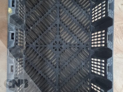 Nestbare leliekratten