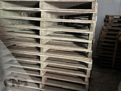 Pallets 150x100