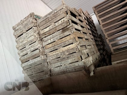 Houten gaasbakken hoge poot