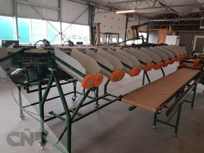 carrousel boslijn -potveer