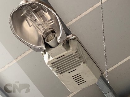Assimilatie lampen