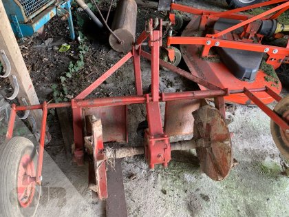 Pioenen planter