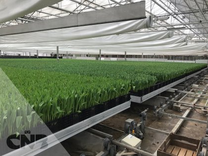 Compleet container broeisysteem