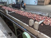 Foto van Plantlijn houten broeibakken of 2 x  60*40