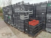 Foto van Kratten