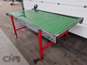 Foto van Transportband-Allround 250x120