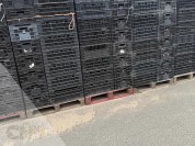 Foto van Leliekratten gebruikt