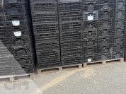 Foto van Leliekratten gebruikt