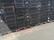 Foto van Leliekratten gebruikt