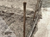 Houten palen