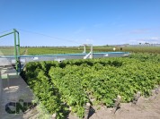 Foto van Oogstsysteem-Beets