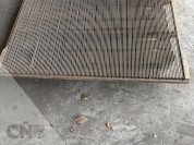 Foto van Rooizeefmat