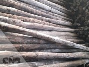 Foto van Houten palen