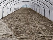 Foto van Diverse tunnelkassen