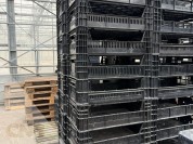 Foto van Kunststof kratten-Broeibakken