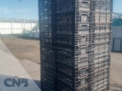 Foto van Tulpen export kratten